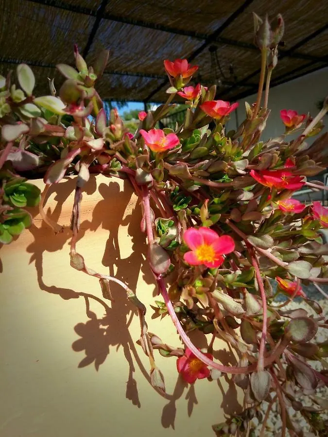 Guest house Casa Colina Hotel Comares
